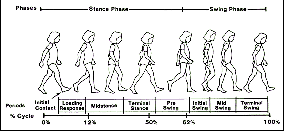 rancho gait pattern