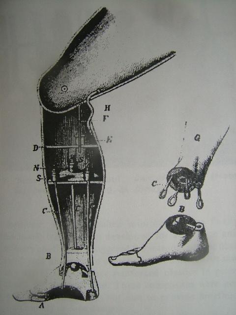 History of the Study of Locomotion