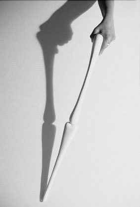 Photo of Flintstones Walking Stick by Felicity Shillingford